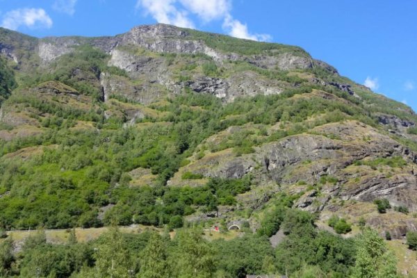Кракен даркнет только через торг