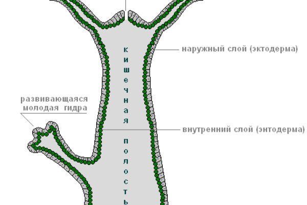 Тор кракен vk2 top