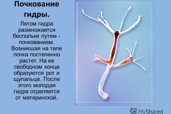 Кракен пользователь не найден что