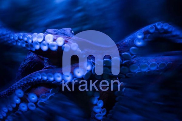 Kraken зеркало krakens13 at