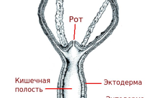 Кракен точка