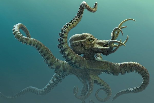 Kraken 22at